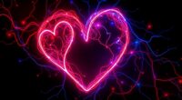 heart and brain connection