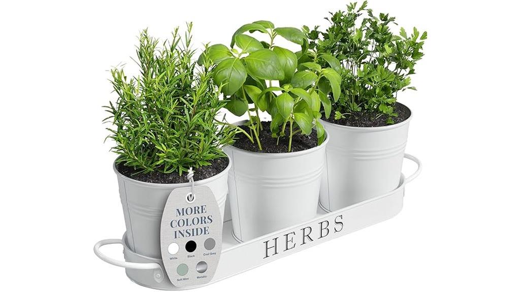 indoor herb planter set