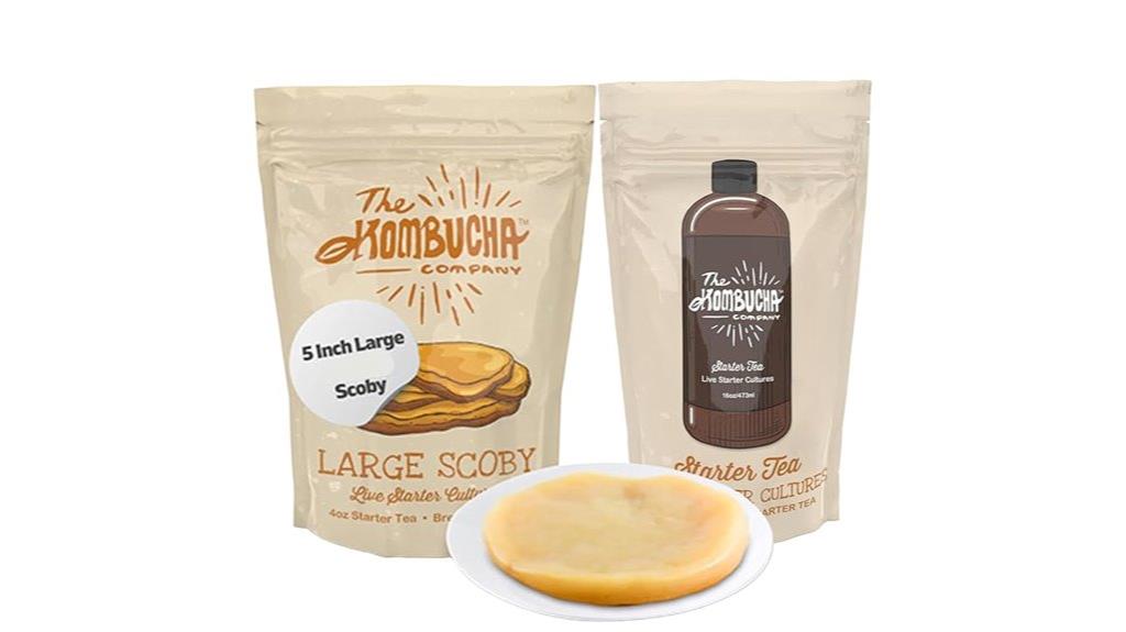 large kombucha scoby