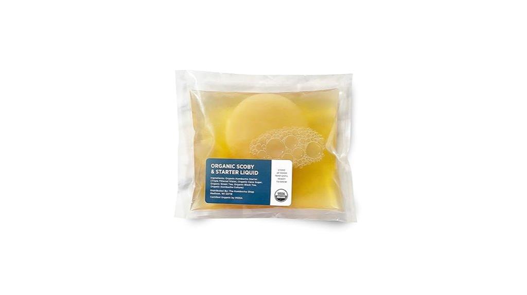 organic scoby kombucha starter