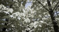 850nm infrared wavelength